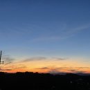 청남오리 이미지