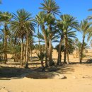 오아시스엘림 이미지