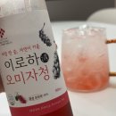 제이로하 | 문경 오미자청 내돈내산, 카페에서 마셔보고 반해서 바로 구매한 이로하 오미자청 후기