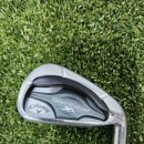 아이언 플렉스(IRON FLEX) 이미지