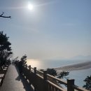 낙동강하구아미산전망대 | 부산 가볼만한곳 부네치아(장림포구), 낙동강하구아미산전망대