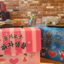 슬기로운 과자생활 이미지