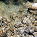 황토방 산장 이미지