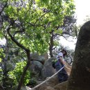 서울현병원 이미지