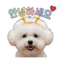 박가네들깨칼국수