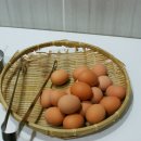 호텔잠자리 이미지