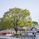 계룡시 엄사면  버들골길 12-8 이미지