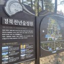 천년숲 이미지