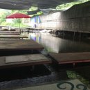 이집이좋겠네 이미지