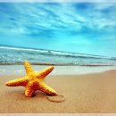 손해평가사 2차 이미지