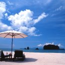 두메아리 이미지