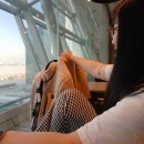 오소이