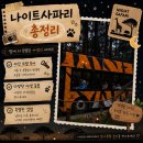 드림자동차랜드 | 캐베 갔다가 에버랜드 간 찐후기 - 나이트사파리...무료로 받는 꿀팁 + 모니모러쉬, 아마존, 범퍼카 후기