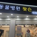 동물병원 왓슨 이미지