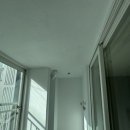 다온탄성 네이버블로그
