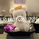 대만 타이베이 2일차 여행후기(Feat. 국립고궁박물관, 곰돌이훠궈, 디화제, 다다오청, 닝샤야시장...