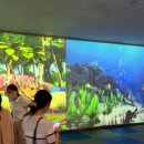 연세호암태권도 이미지