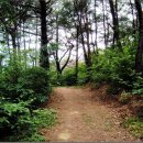 강정보 녹색길 이미지