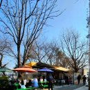 수봉공원(현충탑) | 인천 수봉공원 스카이워크 산책로 봄나들이 3월 벚꽃 명소 주차 꿀팁