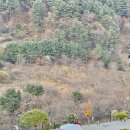 동이길 | 양평 캠핑장 산뷰 좋은 마중마을 힐링캠프