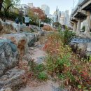 온천천변길 이미지