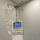 헬릭스동물암센터 이미지