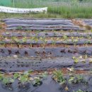 광적공립지역아동센터 이미지