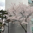 주식회사 봄소프트 네이버블로그