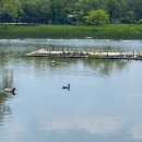 신림청소년독서실 프로그램실1 | 보라매공원 주차장 음악분수 바닥분수 놀이터 황토길