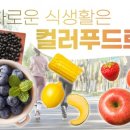 보라식품 글로벌이코노믹