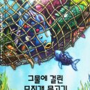 그물과물고기 | 그물에 걸린 무지개 물고기