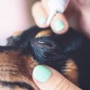 루다약국 이미지