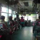 보성여객 이미지