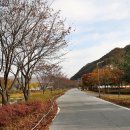 용담천 이미지