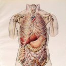 바디소울 이미지