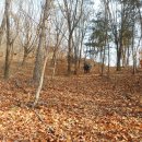 매봉산1 이미지