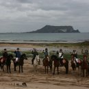 세븐 플러스 이미지