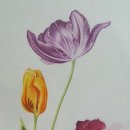 보테니컬아트 이미지