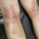 센텀기능식품