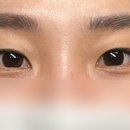 오늘the예쁜눈썹 이미지