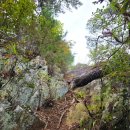 괴산-5 | 괴산 성불산 등산 후기, 주차 및 코스 소요시간 총정리