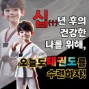 타이탄태권도 이미지