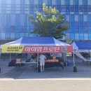 금강대기, 청룡기 16강 대진표 이미지