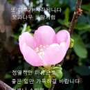 좋은세상