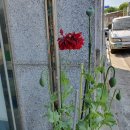 고려페인트사 이미지