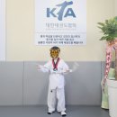 동아대 진 태권도 이미지