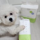 볼보공작소 | 흡수력 좋은 생활공작소 강아지배변패드 추천!