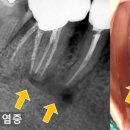 서울녹번치과의원 이미지
