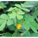 술 도둑놈 이미지