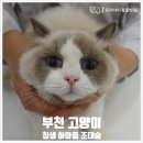 중동 우리아이 동물병원 이미지